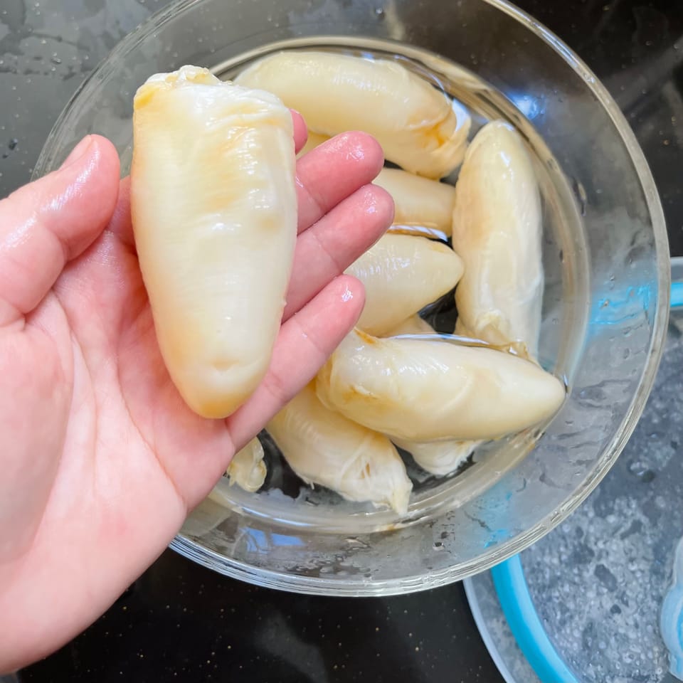 美人胶黄花胶鱼胶治咳润肺 5