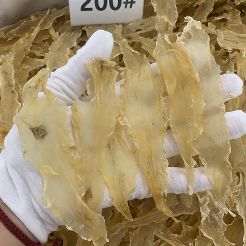 美人胶鳕鱼胶治咳润肺 5