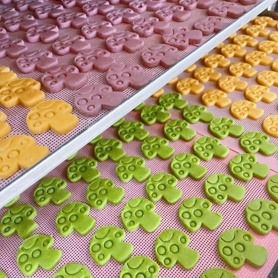 ￼Baby Appetizer Cookies消食养胃猴头菇小米饼 5