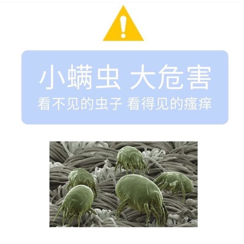 ￼Bed Bug & Dust Mite Pack Ubat pepijat/kutu busuk 除螨虫包 除壁虱包  草药螨立净螨包 5