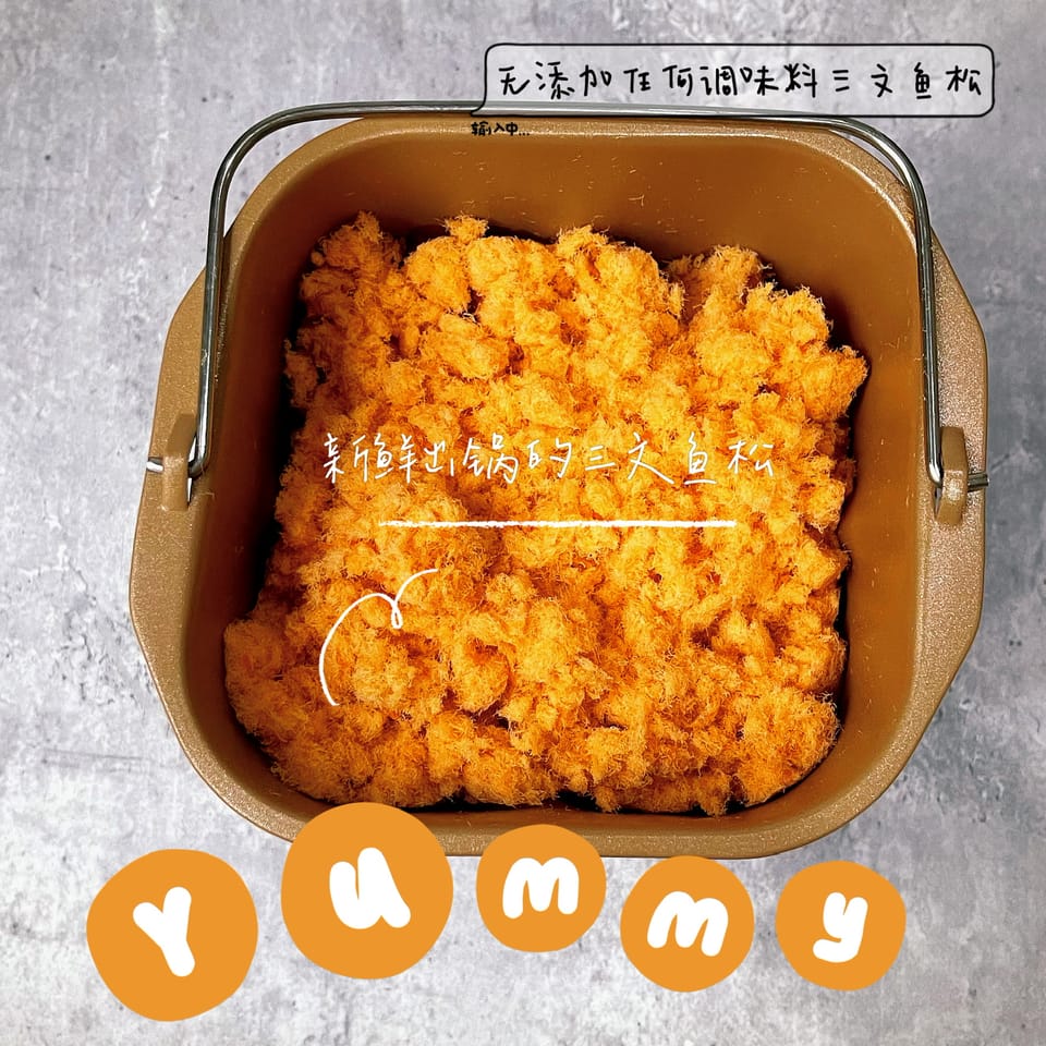 salmon floss三文鱼松 3