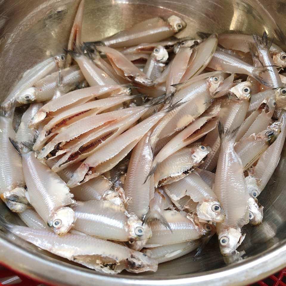Premium Anchovies powder 5
