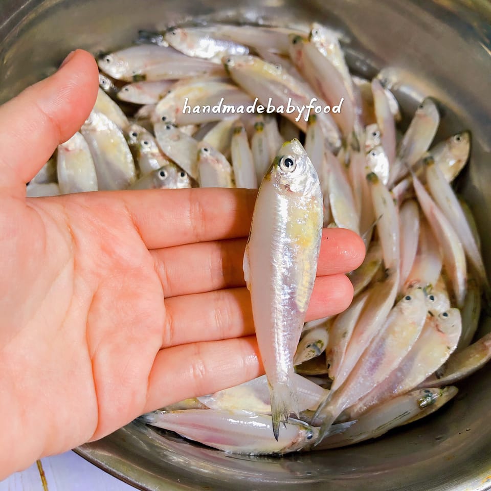 Premium Anchovies powder 2
