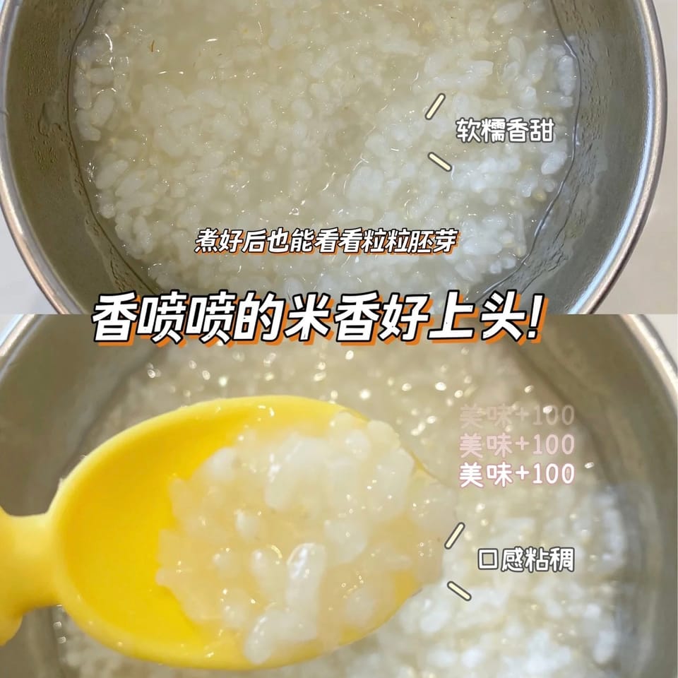 胚芽米baby germ grain-12M+ Copy 7