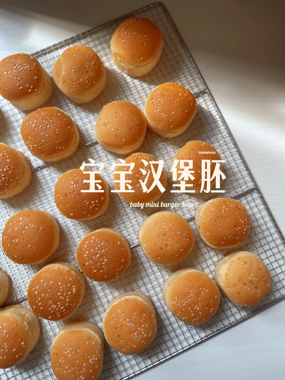 burger bun 2