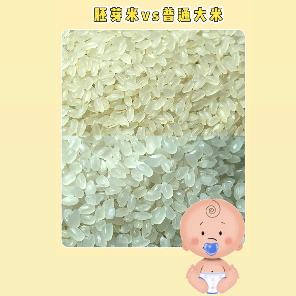 胚芽米baby germ grain-12M+ Copy 3