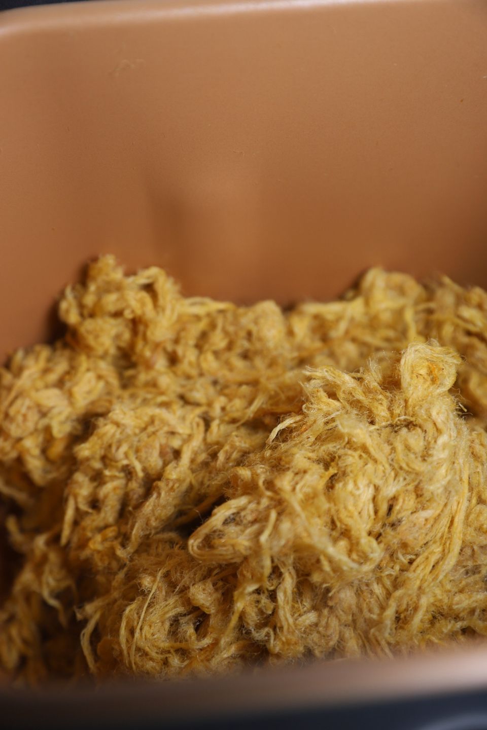 pumpkin beef floss 3