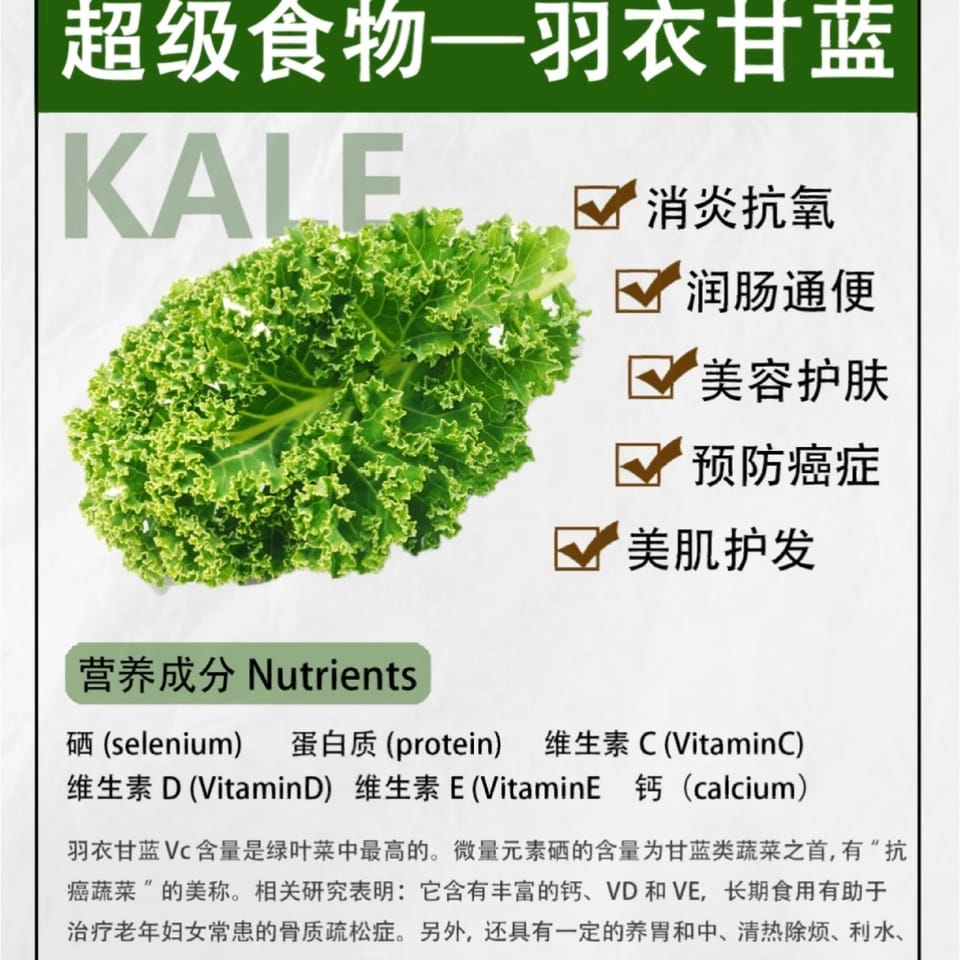 kale powder 2