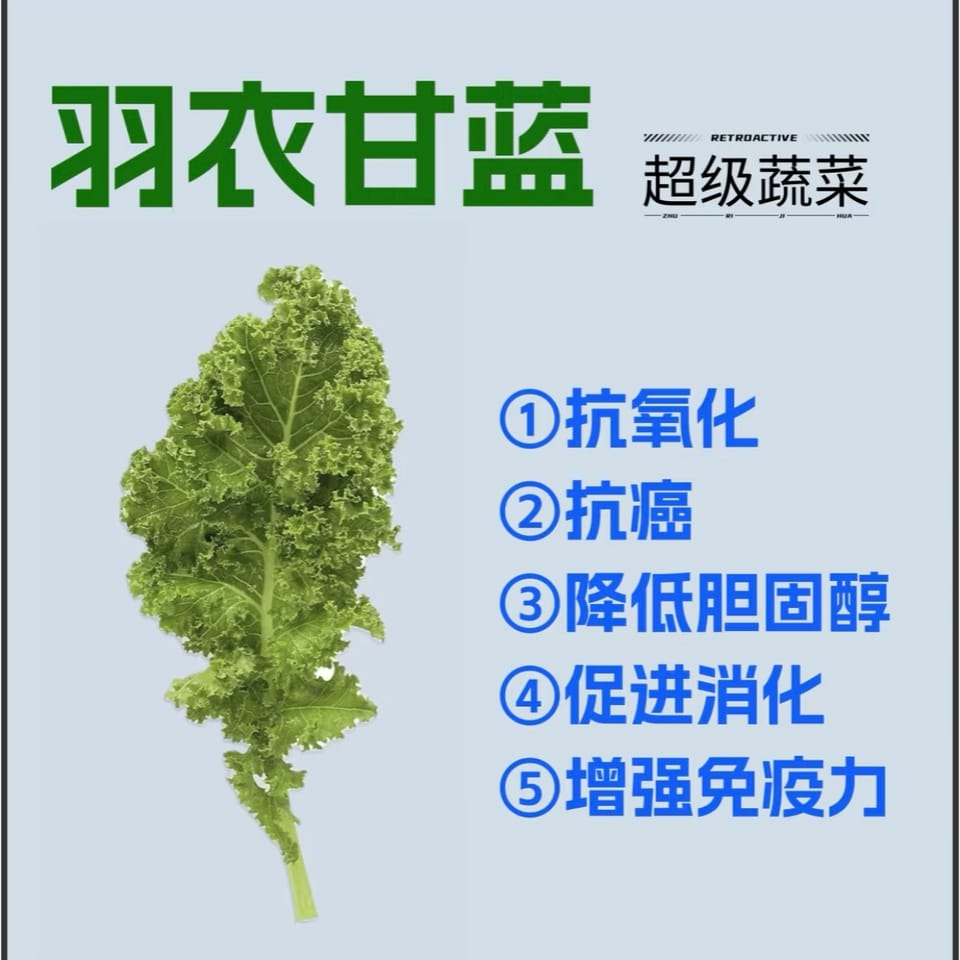 kale powder 3