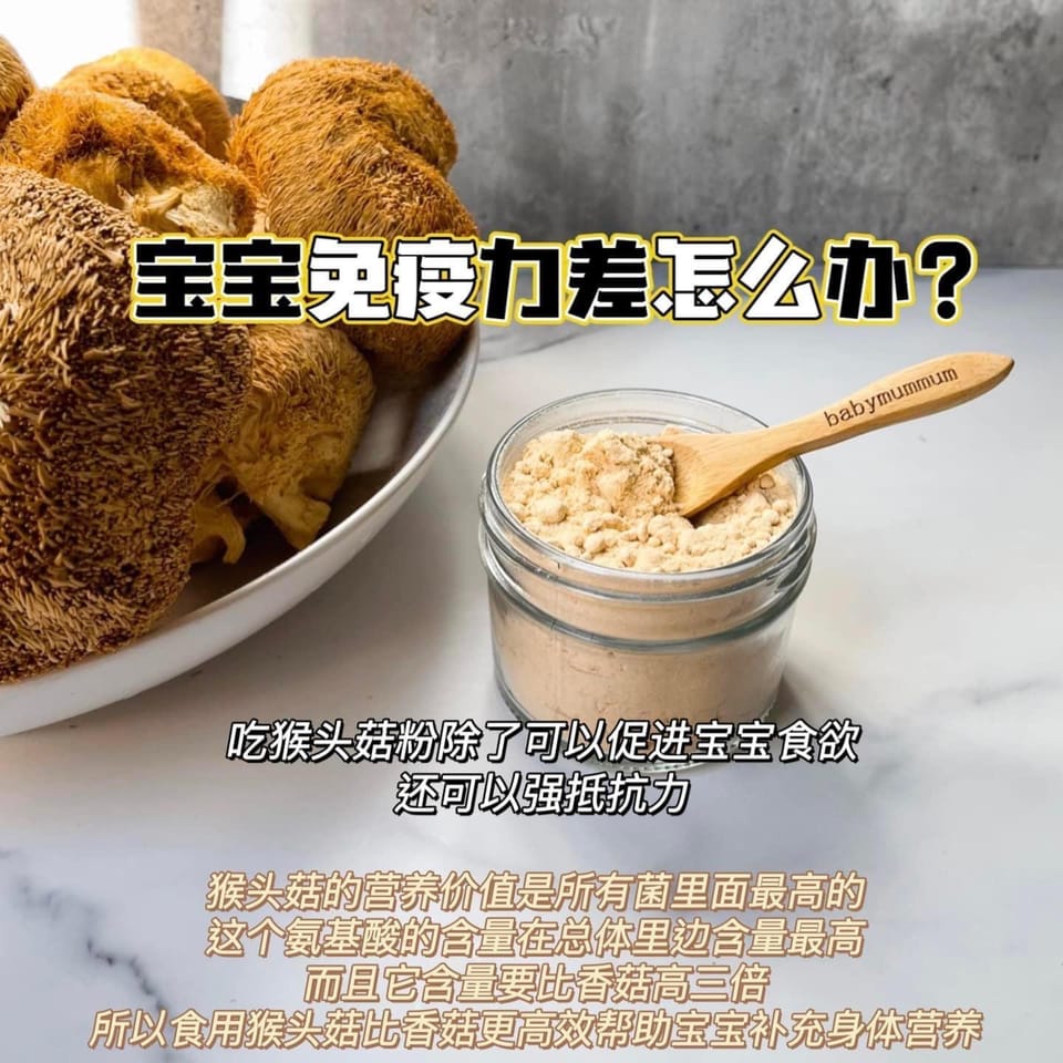￼Lion's Mane Mushroom 猴头菇粉 1
