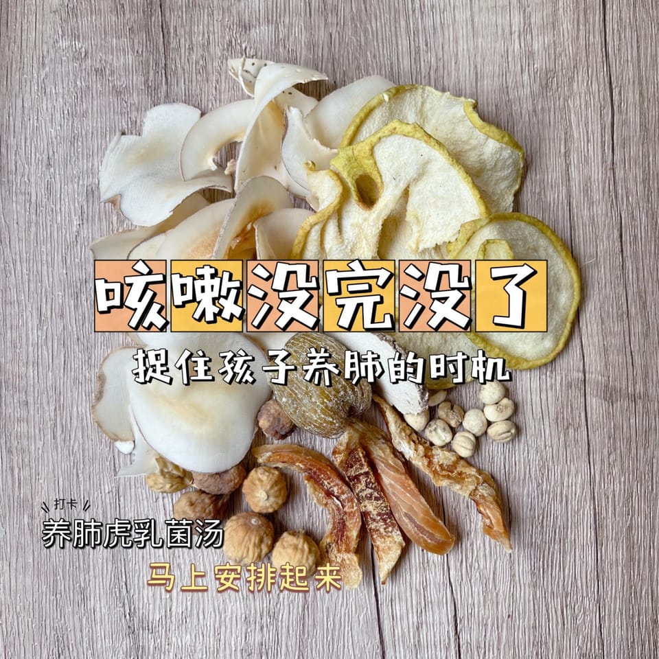 儿童养肺虎乳菌汤 1