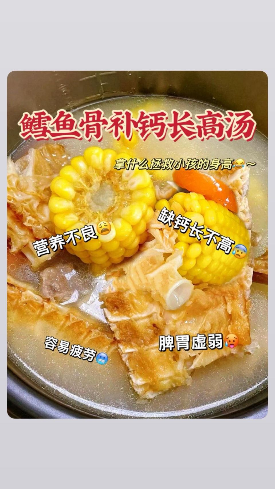 鳕鱼骨补钙长高汤 1
